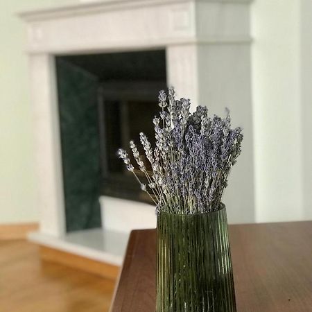 Family Apartment Near The University 切尔诺夫策 外观 照片