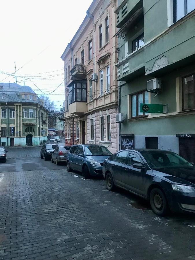 Family Apartment Near The University 切尔诺夫策 外观 照片