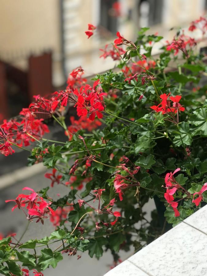 Family Apartment Near The University 切尔诺夫策 外观 照片